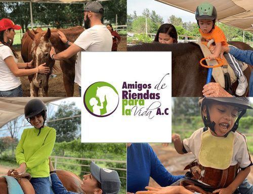 Amigos de Riendas para la Vida – La calidez del cariño